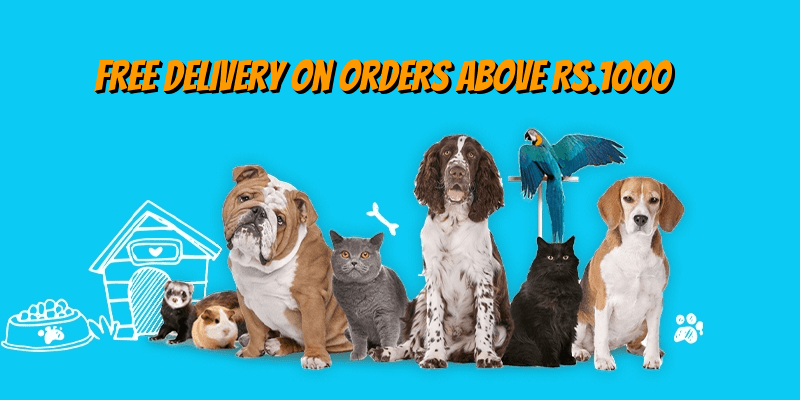 DECCAN PET STORE