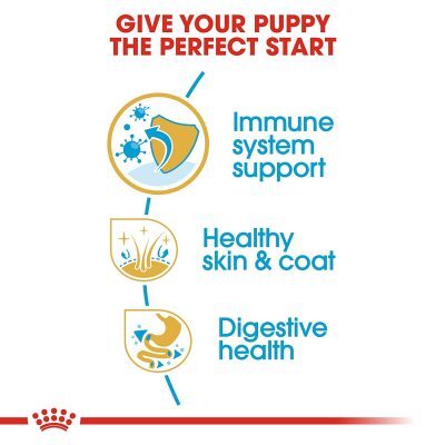 Royal Canin Golden Retriever Puppy 12Kg - Image 4