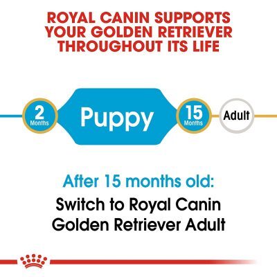 Royal Canin Golden Retriever Puppy 12Kg - Image 6